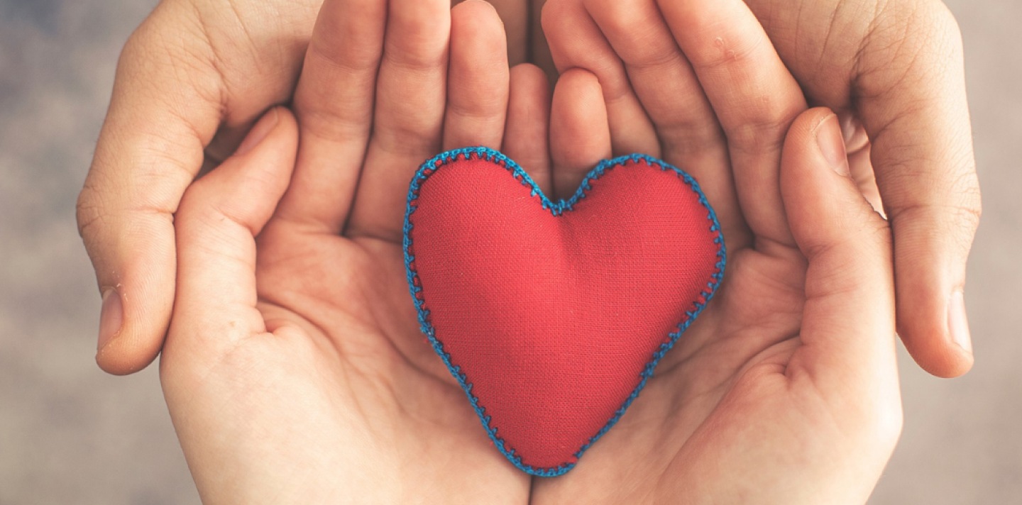 Coming Soon Haven Westchester